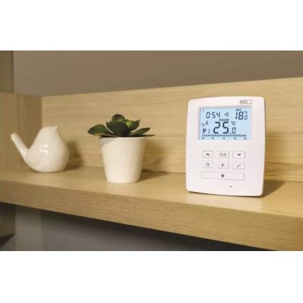 Programmierbares Thermostat 230V+2xAA