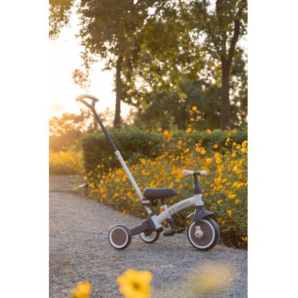 QPlay - Kinder-Dreirad 3-in-1 STAGER schwarz