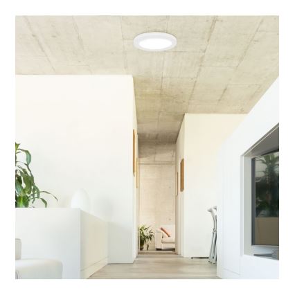 Rabalux - LED-Deckenleuchte mit Sensor LED/18W/230V 4000K 22,5 cm