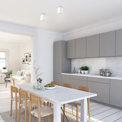 Rabalux - Spotlight 1xGU10/42W/230V weiß