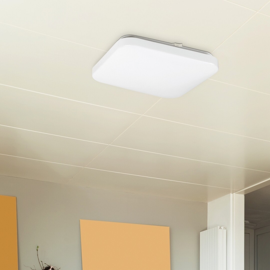 Rabalux 2286 - LED Deckenleuchte ROB 1xLED/20W/230V