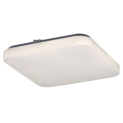 Rabalux 2286 - LED Deckenleuchte ROB 1xLED/20W/230V