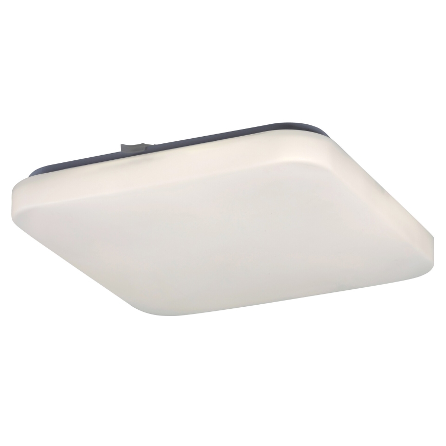 Rabalux 2286 - LED Deckenleuchte ROB 1xLED/20W/230V