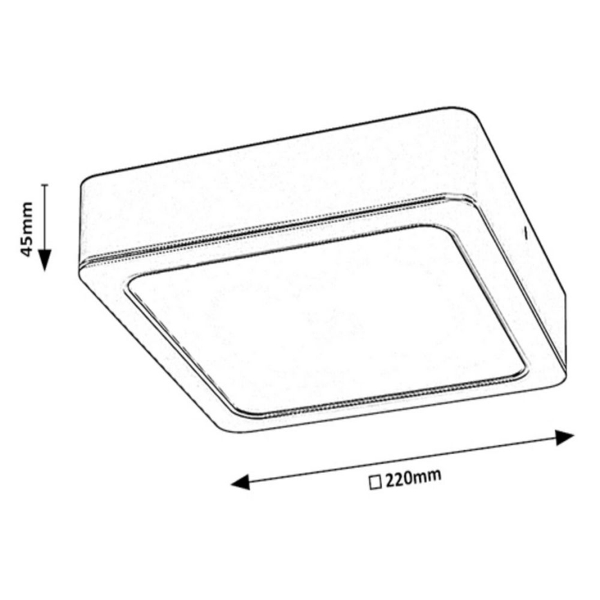 Rabalux - LED Deckenleuchte LED/24W/230V 22x22 cm