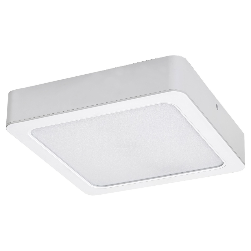 Rabalux - LED-Deckenleuchte LED/24W/230V 22x22 cm