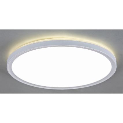 LED Dimmbare Deckenleuchte PAVEL LED/22W/230V