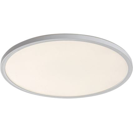 LED Dimmbare Deckenleuchte PAVEL LED/22W/230V