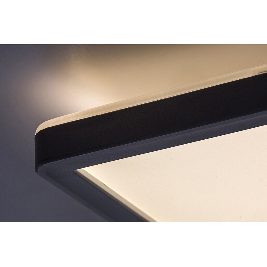 LED Dimmbare Deckenleuchte PAVEL LED/22W/230V