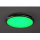 Rabalux - Dimmbare LED-RGB-Deckenleuchte für das Badezimmer LED/18W/230V d 30 cm 3000-6500K IP44 + Fernbedienung