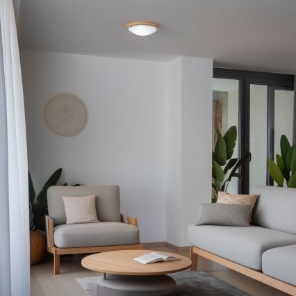 Rabalux - Deckenleuchte 1xE27/60W/230V d 30 cm