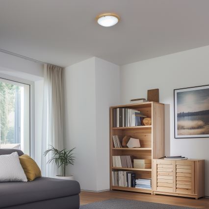 Rabalux - Deckenleuchte 1xE27/60W/230V d 30 cm