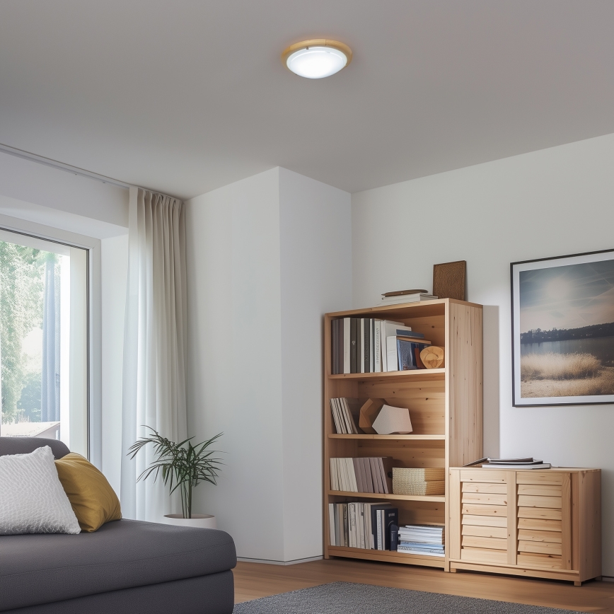 Rabalux - Deckenleuchte 1xE27/60W/230V d 30 cm