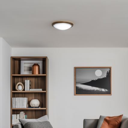 Rabalux - Deckenleuchte 1xE27/60W/230V d 30 cm