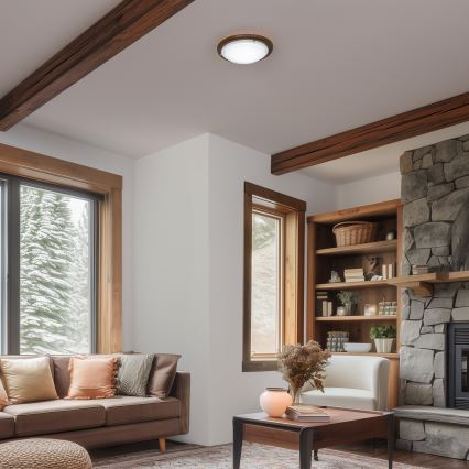 Rabalux - Deckenleuchte 1xE27/60W/230V d 30 cm