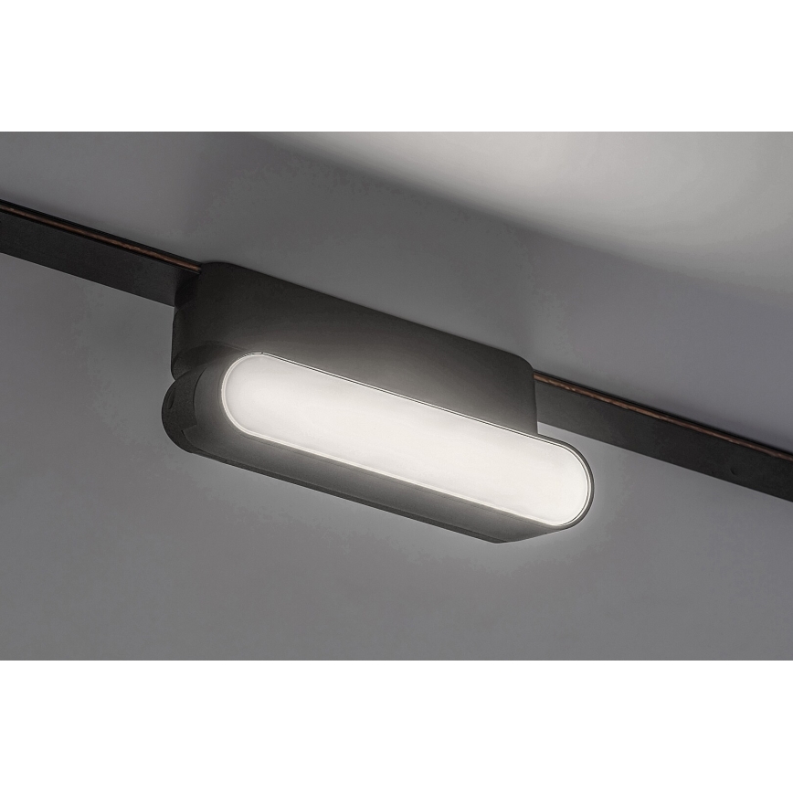 Rabalux - LED-Deckenleuchte für 1-Phasen-Schienensystem LED/6W/24V 4000K 11,5 cm schwarz