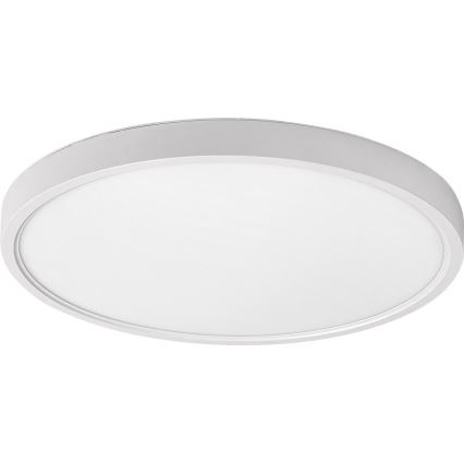 Rabalux - LED-Deckenleuchte LED/24W/230V 4000K d 30 cm weiß