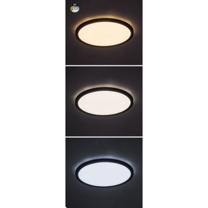 Rabalux - LED Deckenleuchte LED/24W/230V 3000/4000/6000K Ø 29 cm Schwarz