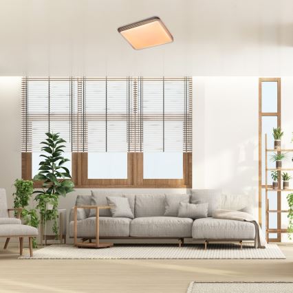 Rabalux - LED-Deckenleuchte LED/40W/230V 3000K