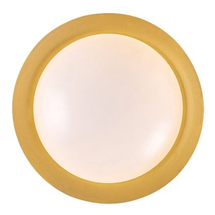 Rabalux - LED-Deckenleuchte LED/24W/230V 3000K d 40 cm