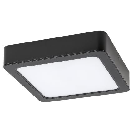 Rabalux - LED-Deckenleuchte LED/15W/230V 4000K 16x16 cm schwarz