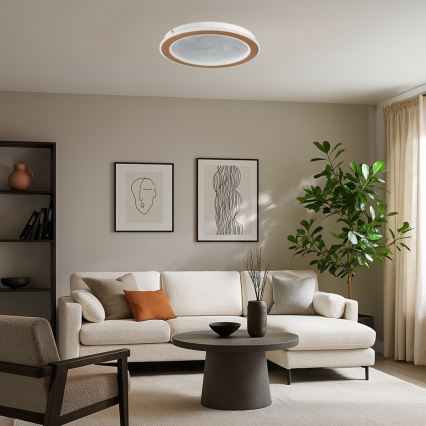 Rabalux - LED dimmbare Deckenleuchte LED/24W/230V 3000-6500K Ø 40 cm + Fernbedienung