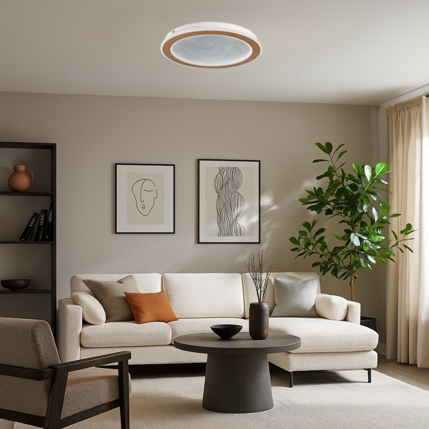 Rabalux - LED dimmbare Deckenleuchte LED/24W/230V 3000-6500K Ø 40 cm + Fernbedienung