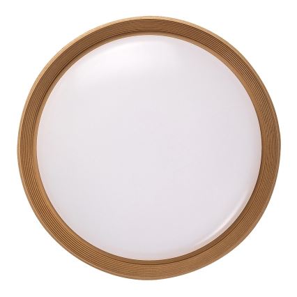 Rabalux - Dimmbare LED-Deckenleuchte LED/48W/230V 3000-6500K + Fernbedienung
