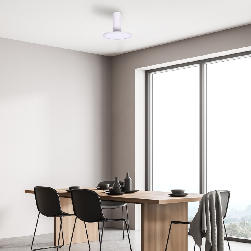 Rabalux - LED-Deckenleuchte LED/20W/230V 3000K weiß