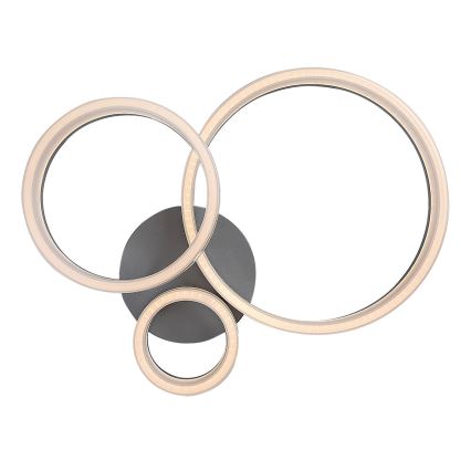 Rabalux - LED-Deckenleuchte LED/24W/230V 3000/4000/6500K 38x51 cm mattierter Chrom