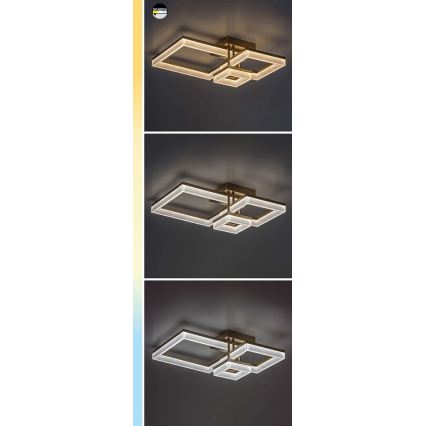 Rabalux - LED-Deckenleuchte LED/22W/230V 3000/4000/6500K schwarz