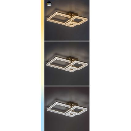 Rabalux - LED-Deckenleuchte LED/22W/230V 3000/4000/6500K matt Chrom