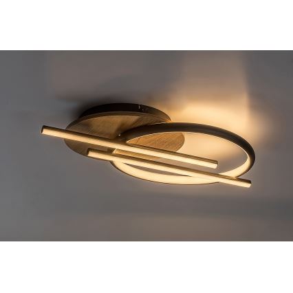 Rabalux - LED-Deckenleuchte LED/40W/230V 3000/4000/6500K
