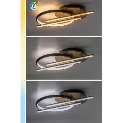 Rabalux - LED-Deckenleuchte LED/40W/230V 3000/4000/6500K