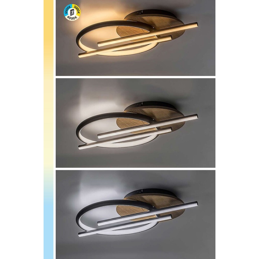 Rabalux - LED-Deckenleuchte LED/40W/230V 3000/4000/6500K