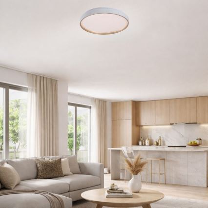 Rabalux - Dimmbare LED-Deckenleuchte 60W/230V 3000-6500K Ø 58 cm + Fernbedienung