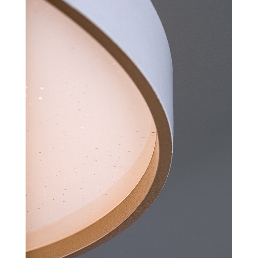 Rabalux - Dimmbare LED-Deckenleuchte 60W/230V 3000-6500K Ø 58 cm + Fernbedienung