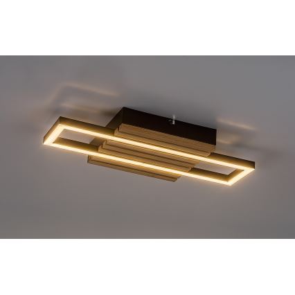Rabalux - LED Deckenleuchte LED/12W/230V 3000/4500/6000K