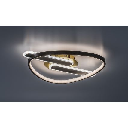 Rabalux - LED-dimmbare Deckenleuchte LED/60W/230V 3000-6000K 53x45 cm + Fernbedienung