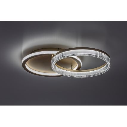 Rabalux - Dimmbare LED-Deckenleuchte LED/22W/230V 3000-6500K 53,5x35 cm + Fernbedienung
