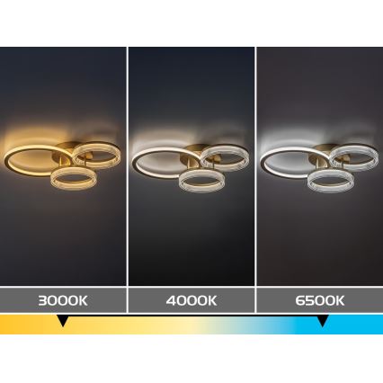 Rabalux - LED dimmbare Deckenleuchte LED/38W/230V 3000-6500K 58,5x38 cm + Fernbedienung