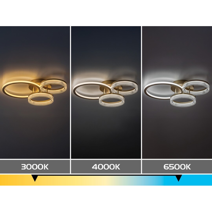 Rabalux - LED dimmbare Deckenleuchte LED/38W/230V 3000-6500K 58,5x38 cm + Fernbedienung