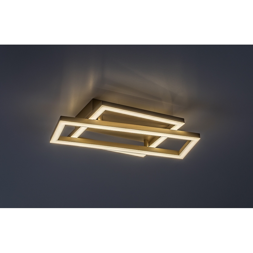 Rabalux - LED-Deckenleuchte LED/24W/230V 37x22,5 cm