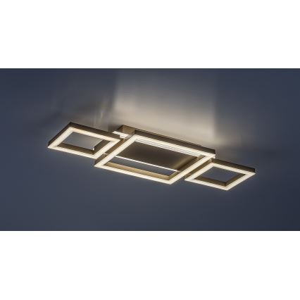 Rabalux - LED-Deckenleuchte LED/24W/230V 51,5x22 cm