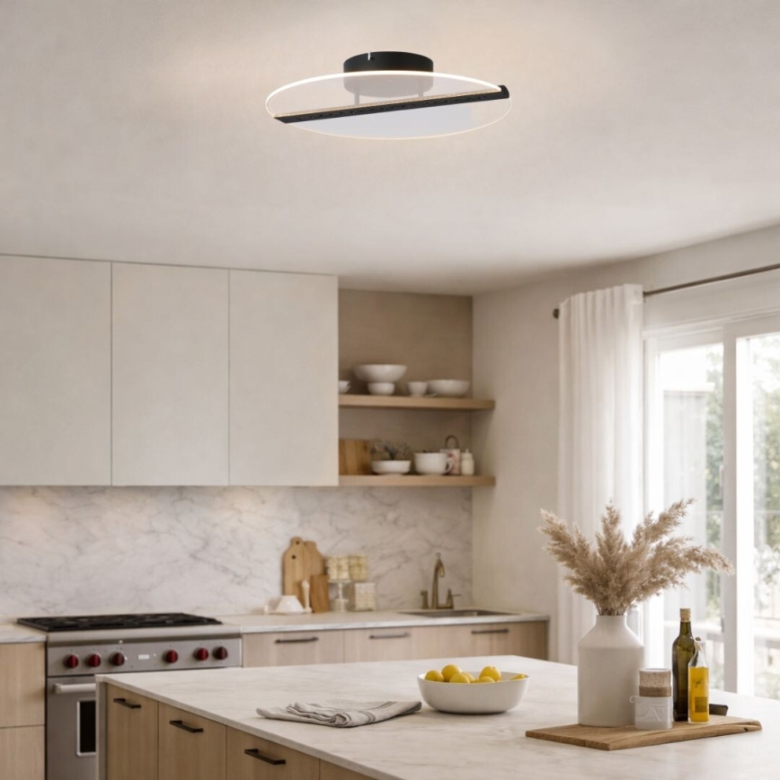 Rabalux - LED-Deckenleuchte LED/20W/230V 3000 Ø 41 cm schwarz/transparent