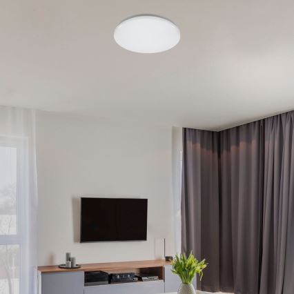 Rabalux - LED-Deckenleuchte LED/12W/230V 4000K Ø 25,5 cm