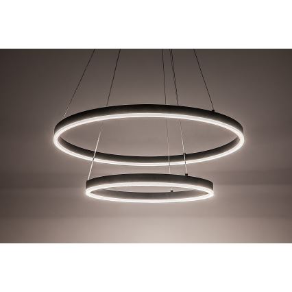 Rabalux - dimmbare LED-Pendelleuchte mit Seilabhängung LED/80W/230V 3000-6500K + Fernbedienung