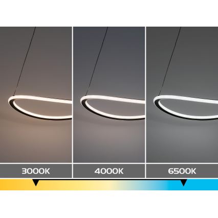 Rabalux - Dimmbarer LED-Pendelleuchter mit Seilaufhängung LED/45W/230V 3000-6500K + Fernbedienung