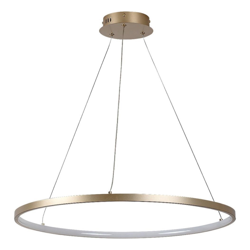 Rabalux - LED-Pendelleuchte am Kabel LED/55W/230V 3000K