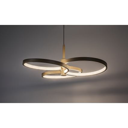 Rabalux - LED-dimmbare Pendelleuchte an Kabel LED/50W/230V 3000-6500K + Fernbedienung