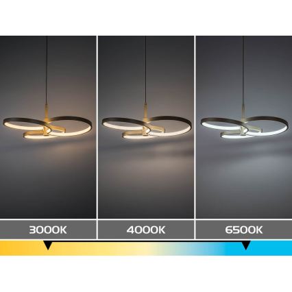 Rabalux - LED-dimmbare Pendelleuchte an Kabel LED/50W/230V 3000-6500K + Fernbedienung